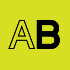 Allbright Stiftung Logo